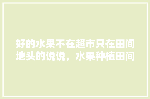 好的水果不在超市只在田间地头的说说，水果种植田间地头图片。 水果种植