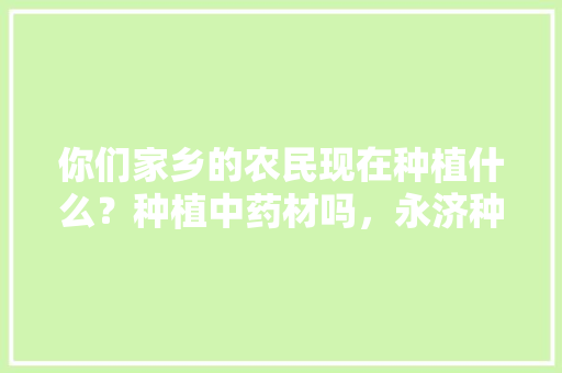 你们家乡的农民现在种植什么？种植中药材吗，永济种植水果玉米基地在哪里。 你们家乡的农民现在种植什么？种植中药材吗，永济种植水果玉米基地在哪里。 畜牧养殖