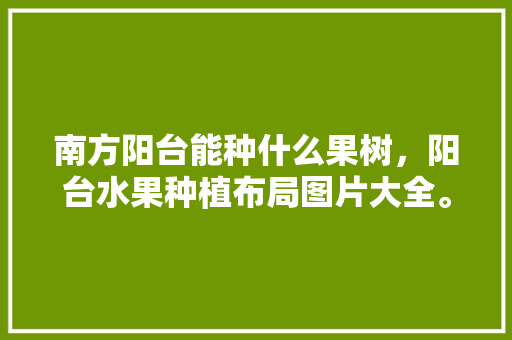 南方阳台能种什么果树，阳台水果种植布局图片大全。 水果种植