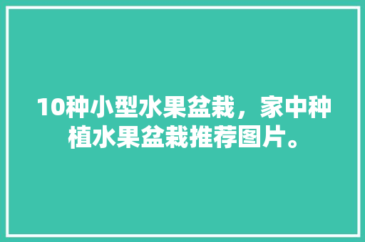 10种小型水果盆栽，家中种植水果盆栽推荐图片。 畜牧养殖