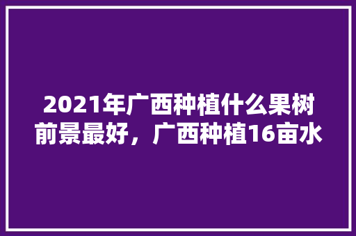 2021年广西种植什么果树前景最好，广西种植16亩水果基地。 水果种植