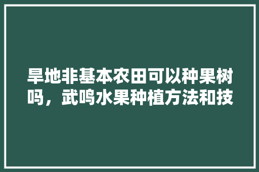 旱地非基本农田可以种果树吗，武鸣水果种植方法和技术。 畜牧养殖