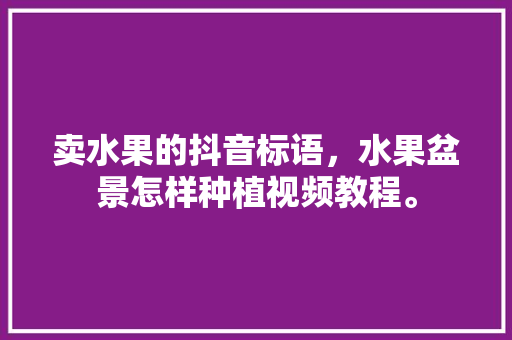 卖水果的抖音标语，水果盆景怎样种植视频教程。 畜牧养殖