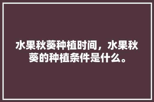 水果秋葵种植时间，水果秋葵的种植条件是什么。 蔬菜种植