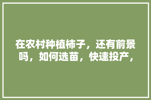 在农村种植柿子，还有前景吗，如何选苗，快速投产，种植水果柿子的前景如何。 水果种植