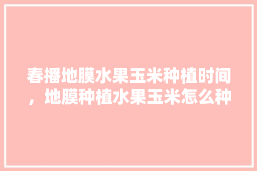 春播地膜水果玉米种植时间，地膜种植水果玉米怎么种。 蔬菜种植