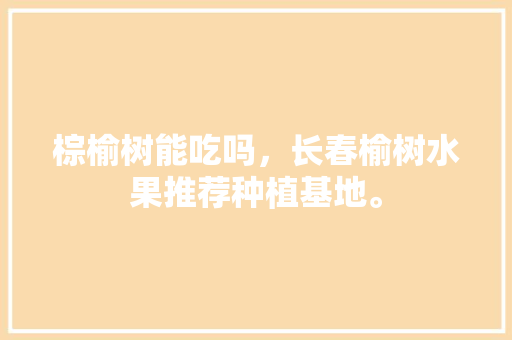 棕榆树能吃吗，长春榆树水果推荐种植基地。 蔬菜种植