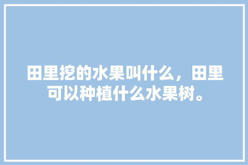 田里挖的水果叫什么，田里可以种植什么水果树。 蔬菜种植