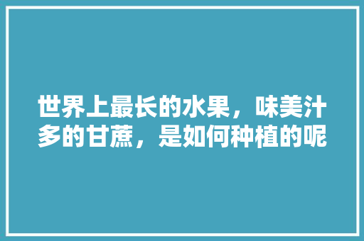 世界上最长的水果，味美汁多的甘蔗，是如何种植的呢，附近种植水果甘蔗基地在哪里。 蔬菜种植