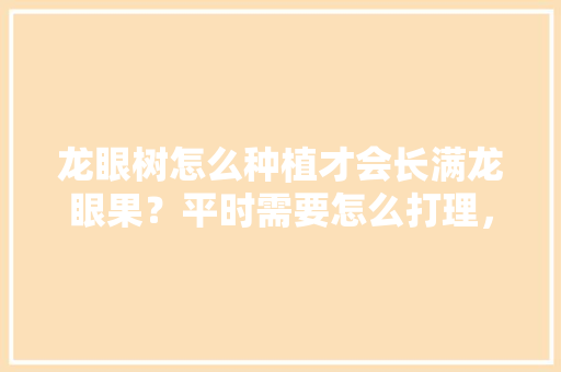 龙眼树怎么种植才会长满龙眼果？平时需要怎么打理，种植水果龙眼的方法。 水果种植