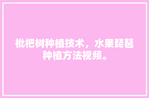 枇杷树种植技术，水果琵琶种植方法视频。 土壤施肥