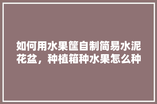 如何用水果筐自制简易水泥花盆，种植箱种水果怎么种植的。 蔬菜种植