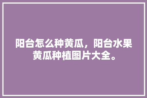 阳台怎么种黄瓜，阳台水果黄瓜种植图片大全。 家禽养殖