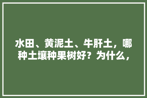 水田、黄泥土、牛肝土，哪种土壤种果树好？为什么，种植水果用什么土质比较好。 畜牧养殖