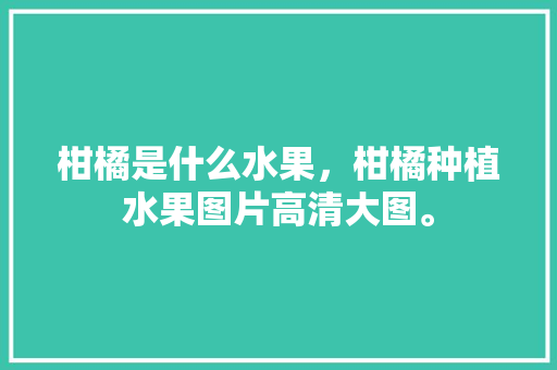 柑橘是什么水果，柑橘种植水果图片高清大图。 蔬菜种植