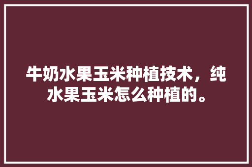 牛奶水果玉米种植技术，纯水果玉米怎么种植的。 土壤施肥