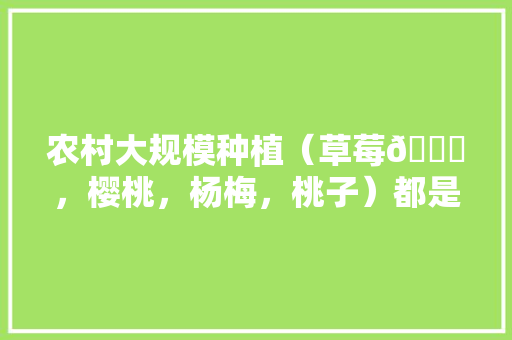 农村大规模种植（草莓🍓，樱桃，杨梅，桃子）都是应季水果，怎么做到深加工快速消费，栽种水果。 蔬菜种植