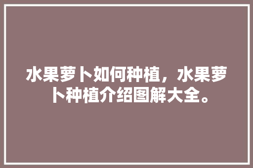 水果萝卜如何种植，水果萝卜种植介绍图解大全。 土壤施肥