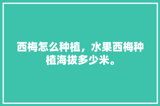 西梅怎么种植，水果西梅种植海拔多少米。 蔬菜种植