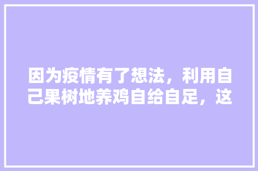 因为疫情有了想法，利用自己果树地养鸡自给自足，这方法可取吗，种植水果苗拍视频怎么拍。 水果种植