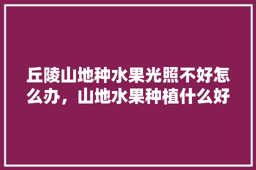 丘陵山地种水果光照不好怎么办，山地水果种植什么好呢。 水果种植