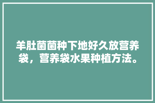 羊肚菌菌种下地好久放营养袋，营养袋水果种植方法。 水果种植