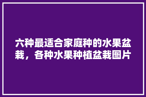 六种最适合家庭种的水果盆栽，各种水果种植盆栽图片。 畜牧养殖