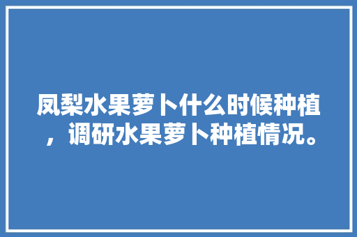 凤梨水果萝卜什么时候种植，调研水果萝卜种植情况。 水果种植