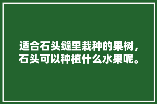 适合石头缝里栽种的果树，石头可以种植什么水果呢。 家禽养殖