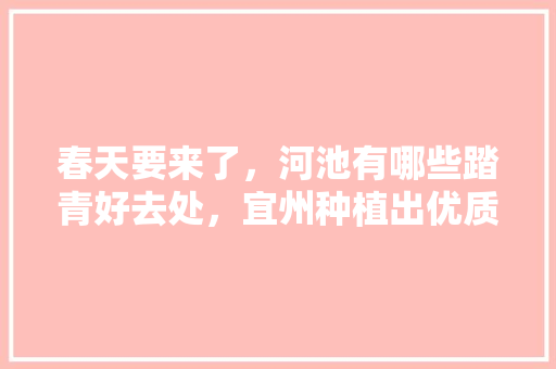 春天要来了，河池有哪些踏青好去处，宜州种植出优质水果的地方。 春天要来了，河池有哪些踏青好去处，宜州种植出优质水果的地方。 蔬菜种植