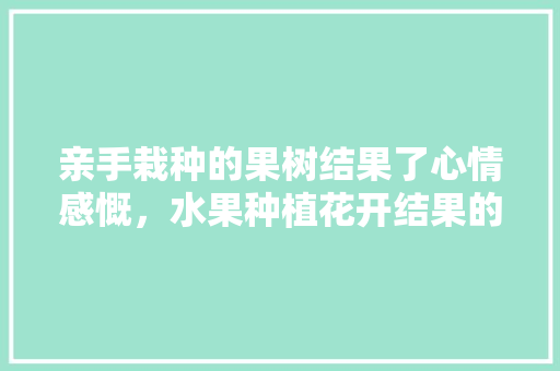 亲手栽种的果树结果了心情感慨，水果种植花开结果的过程。