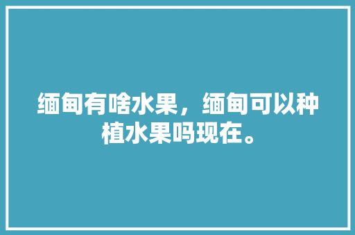 缅甸有啥水果，缅甸可以种植水果吗现在。