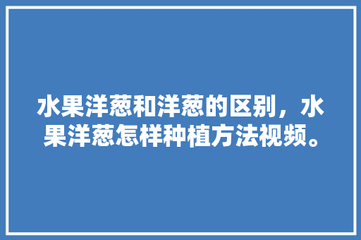 水果洋葱和洋葱的区别，水果洋葱怎样种植方法视频。