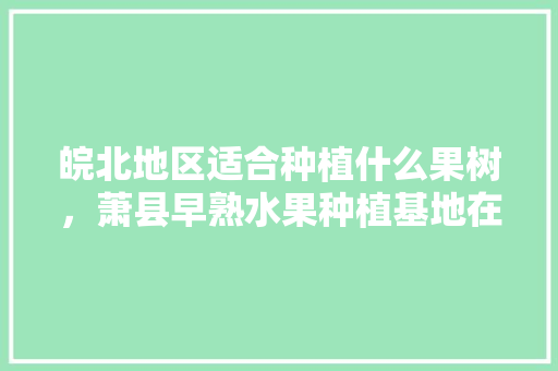 皖北地区适合种植什么果树，萧县早熟水果种植基地在哪里。