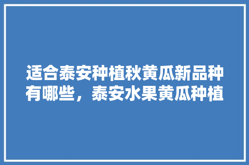 适合泰安种植秋黄瓜新品种有哪些，泰安水果黄瓜种植基地在哪里。