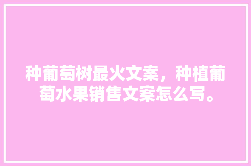 种葡萄树最火文案，种植葡萄水果销售文案怎么写。