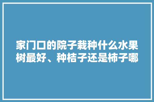 家门口的院子栽种什么水果树最好、种桔子还是柿子哪种好些，种植好看的水果树图片。