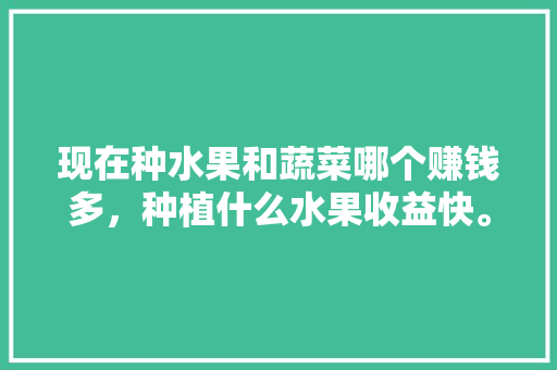 现在种水果和蔬菜哪个赚钱多，种植什么水果收益快。