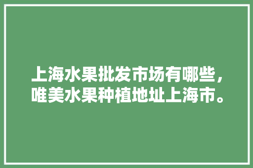 上海水果批发市场有哪些，唯美水果种植地址上海市。