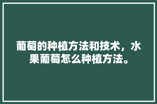 葡萄的种植方法和技术，水果葡萄怎么种植方法。