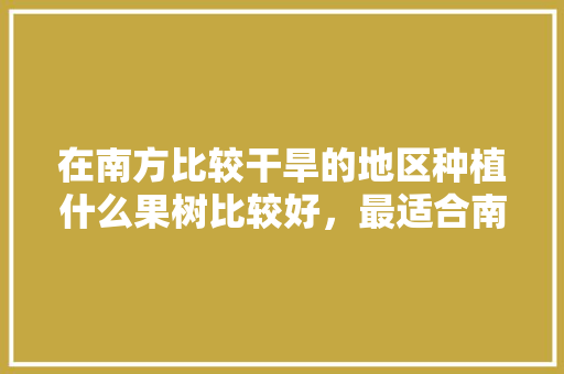 在南方比较干旱的地区种植什么果树比较好，最适合南方山区种植的水果。