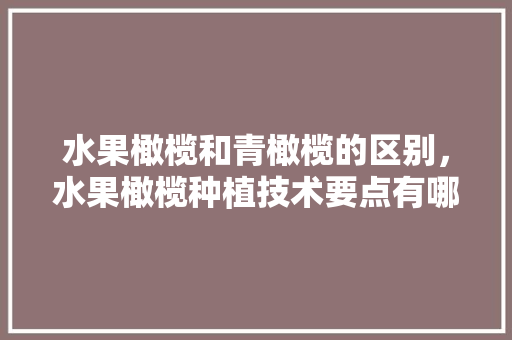 水果橄榄和青橄榄的区别，水果橄榄种植技术要点有哪些。