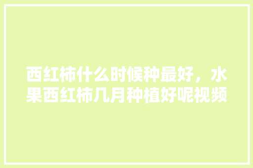 西红柿什么时候种最好，水果西红柿几月种植好呢视频。