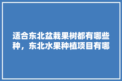 适合东北盆栽果树都有哪些种，东北水果种植项目有哪些。