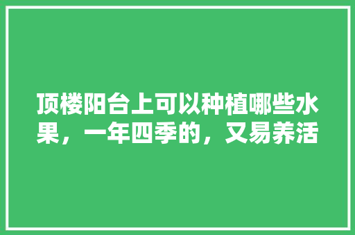 顶楼阳台上可以种植哪些水果，一年四季的，又易养活的，露台种植水果大全图片。