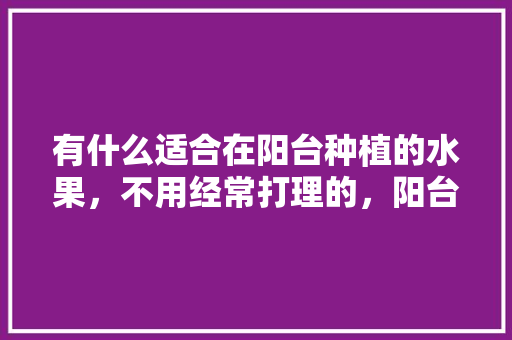 有什么适合在阳台种植的水果，不用经常打理的，阳台种植水果教材图片。