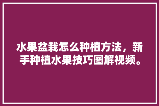 水果盆栽怎么种植方法，新手种植水果技巧图解视频。