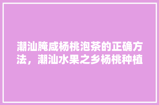 潮汕腌咸杨桃泡茶的正确方法，潮汕水果之乡杨桃种植基地。 土壤施肥