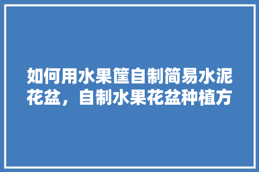 如何用水果筐自制简易水泥花盆，自制水果花盆种植方法。