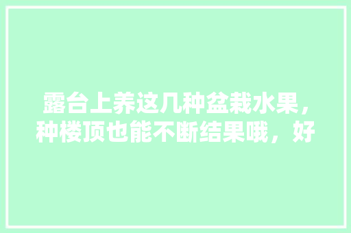 露台上养这几种盆栽水果，种楼顶也能不断结果哦，好种植盆栽水果有哪些。 露台上养这几种盆栽水果，种楼顶也能不断结果哦，好种植盆栽水果有哪些。 畜牧养殖